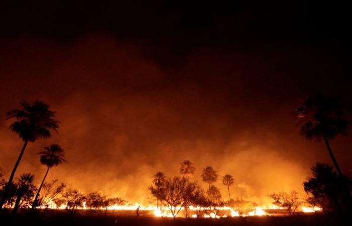 Ein Blick auf die schlimmsten Waldbrandfälle in Indien – Firstpost