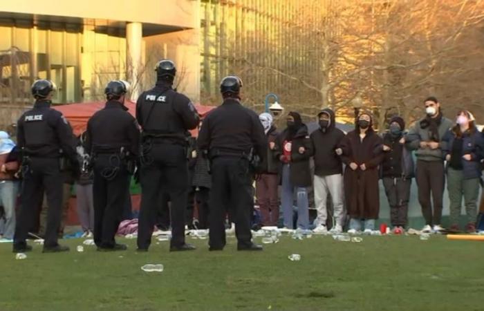 Dutzende wurden bei pro-palästinensischen Protesten an der Northeastern University festgenommen – NBC New England