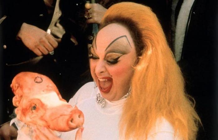 Sex, Drogen und Kannibalismus: „Pink Flamingos“, der skandalöseste Kultfilm der Geschichte