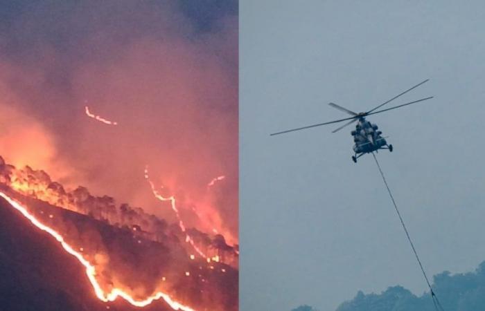 Waldbrände im Nainital: Uttarakhand CM führt Luftaufnahme durch; Die Bambi-Bucket-Operationen der Luftwaffe sind im Gange