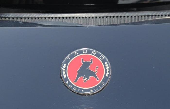 Auch diese beiden Automarken verwendeten einen Stier in ihrem Logo