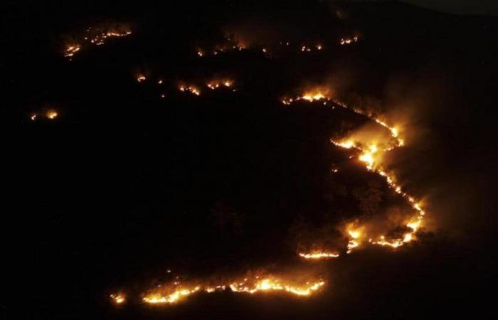 Indien meldete im April über 75.000 Waldbrände; Odisha am schlimmsten getroffen | Neueste Nachrichten Indien