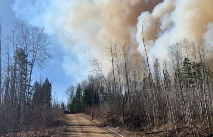 Was Sie wissen müssen, um über Waldbrände in Alberta auf dem Laufenden zu bleiben