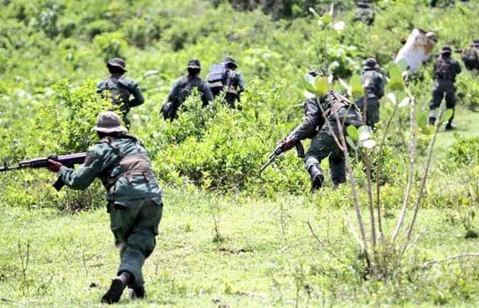 Die kolumbianische Armee tötete 15 Guerillas in Cauca