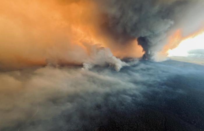 Walpole-Feuer brennt über 12.000 ha, während die Brandstiftung noch Ermittlungen durchführt