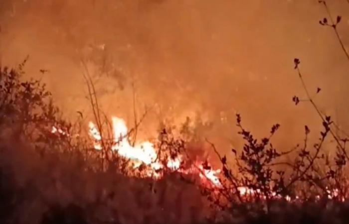 Massiver Waldbrand wütet in Nainital; Die Armee rief an