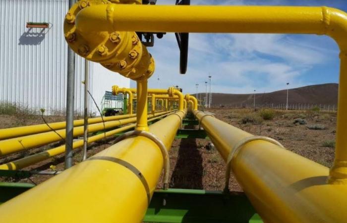 Unveröffentlichte Vereinbarung mit Brasilien und Bolivien zur Vermeidung des Gasmangels im Winter