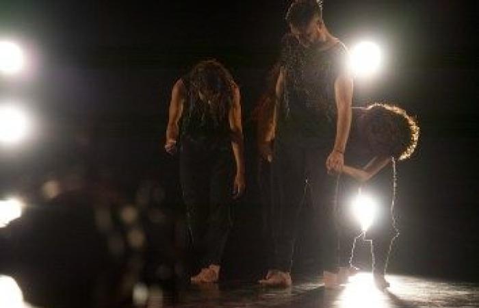 Die erste Biennale für modernen und zeitgenössischen Tanz der Region Valparaíso findet ihren Höhepunkt
