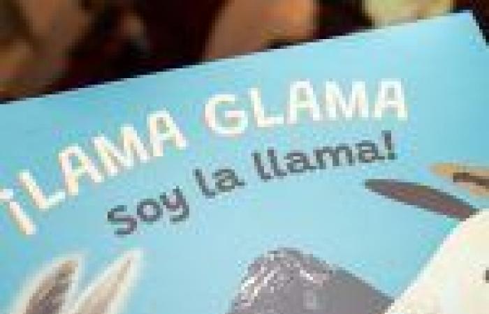 Encuentros UCN beginnt seine dritte Staffel mit „Lama Glama ¡Soy la Llama!“ « Aktuelle UCN-Nachrichten – Universidad Católica del Norte