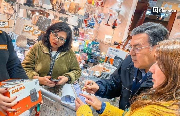 Sie überwachen den Verkauf von Öfen und Heizungen in Los Ríos