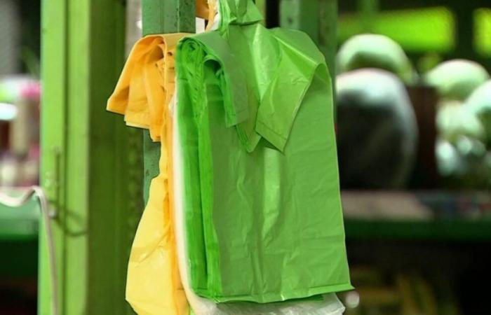 Einwegplastik geht zur Neige: Supermärkte dürfen keine Tüten mehr verkaufen oder verschenken