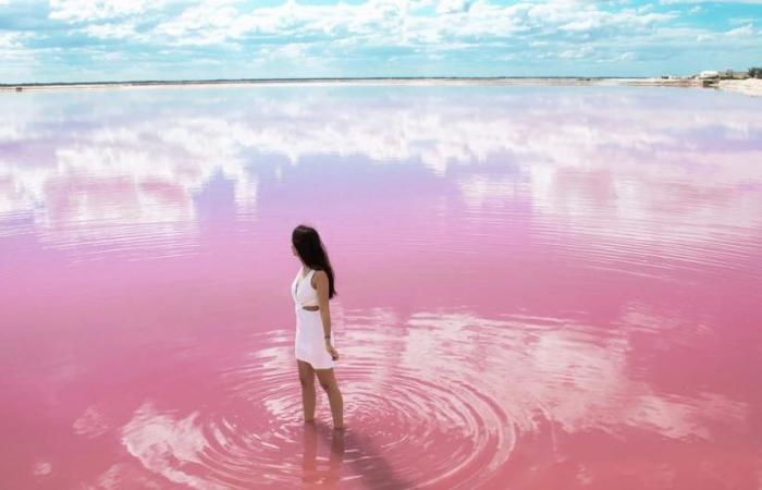 Neue Studie enthüllte, warum Australiens spektakulärer Lake Hillier rosa ist