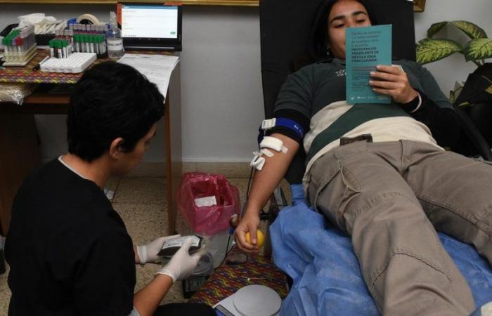 Weltblutspendetag: 52 % der Einwohner von Santa Fe tun dies freiwillig