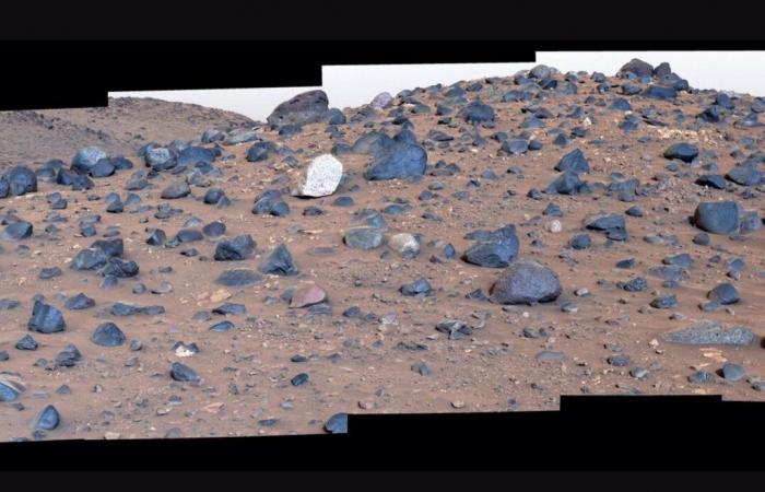 Perseverance nimmt eine Abkürzung durch einen Fluss auf dem Mars, um einen einzigartigen Felsen zu finden