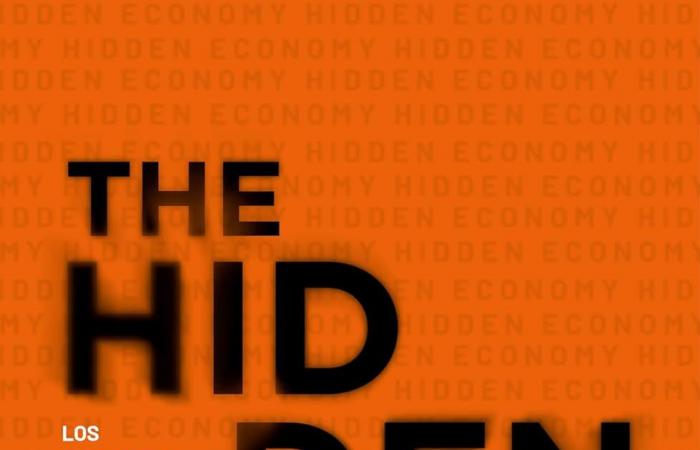 Buch des Tages: The Hidden Economy