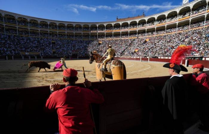 San Isidro 2024, eine Zuschauermenge für ein denaturiertes Stierkampffest | Der Stier bei den Hörnern | Kultur