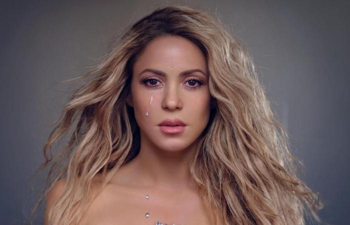 Die mysteriöse Gesellschaft der Niederländischen Antillen, die Shakiras Identität an sich reißt