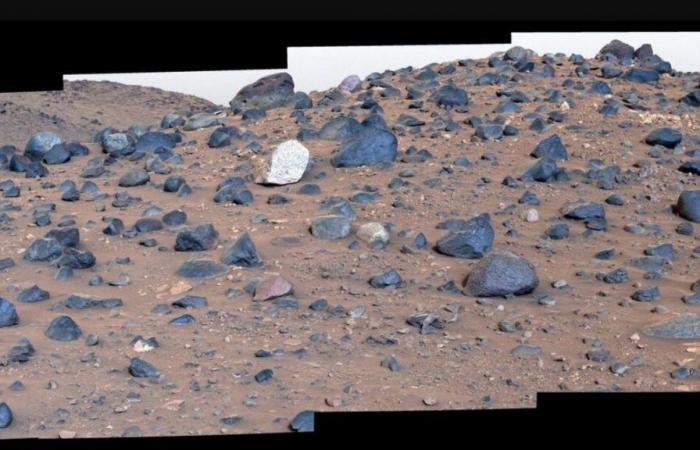 Die erstaunliche Entdeckung der NASA Perseverance in einem alten Fluss auf dem Mars