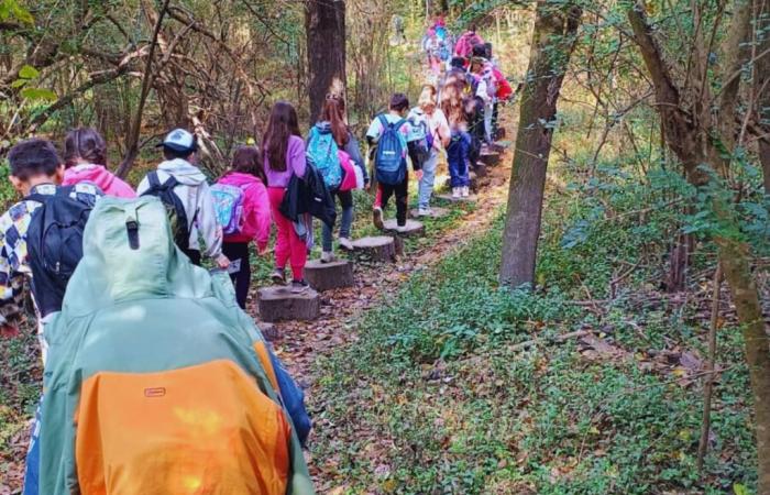 Mehr als 20 Schulen besuchten den Enrique Berduc Rural School Park, um die Natur zu genießen – General Council of Education