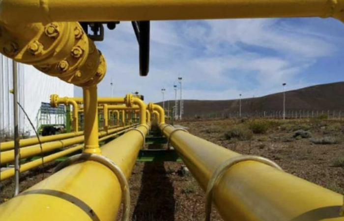 Die Arbeiten zur Gasbeförderung von Vaca Muerta nach Nordargentinien werden im September abgeschlossen