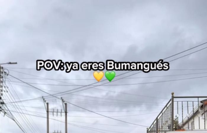 Gregorio Pernía schloss sich dem Auriverde-Fieber mit einem Video an, das die Netzwerke revolutionierte