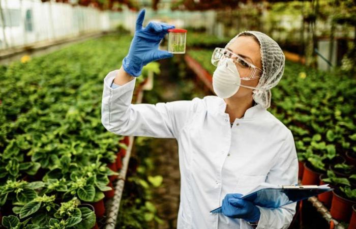 Die Bedeutung der Biotechnologie in der Lebensmittelverarbeitung