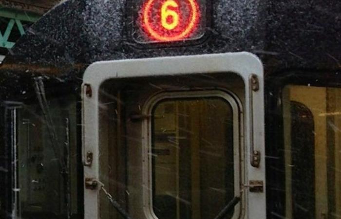 Junger Mann stirbt nach U-Bahn-Surfunfall in der Bronx – Telemundo New York (47)