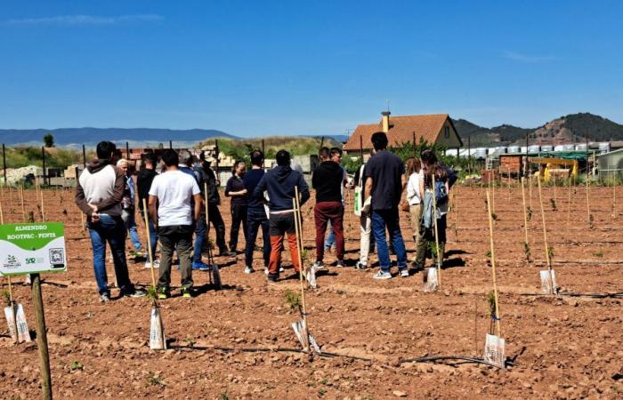 Der Anbau von Mandeln und Haselnüssen ist in La Rioja Alta möglich