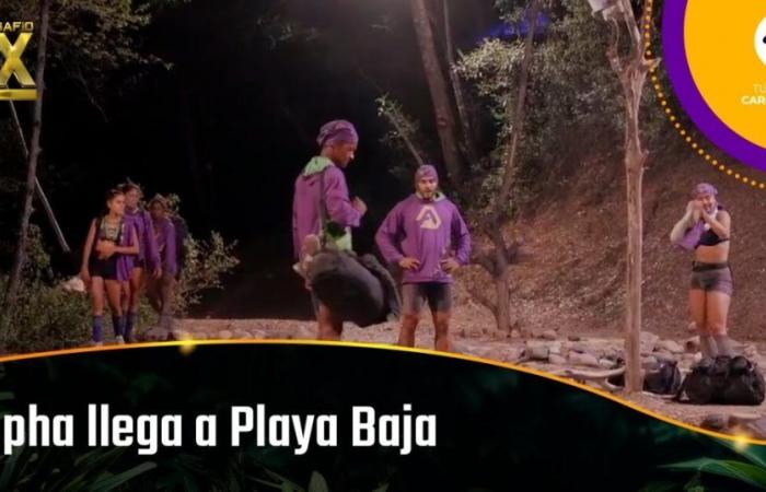 Alpha kommt in der Challenge in Playa Baja an und zwei Mitglieder des Teams beschweren sich über Natalia