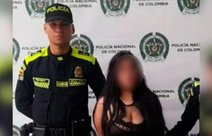 Sie nehmen eine Frau fest, die beschuldigt wird, einen Welpen aus dem 12. Stock in Bello, Antioquia, geworfen zu haben
