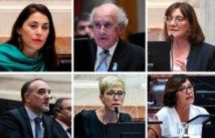 Grundlagengesetz: Pedro Pesatti begründete das Votum von Senatorin Mónica Silva