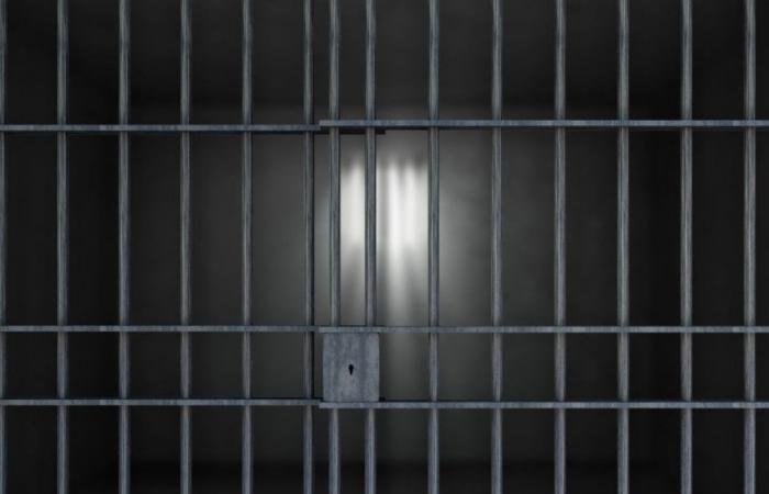 Der wegen Entführung in Coyhaique Angeklagte wird ins Gefängnis geschickt