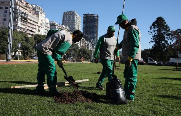 Nach dem verheerenden Sturm im Dezember werden in der Stadt Buenos Aires 50 % mehr Bäume gepflanzt als im Vorjahr