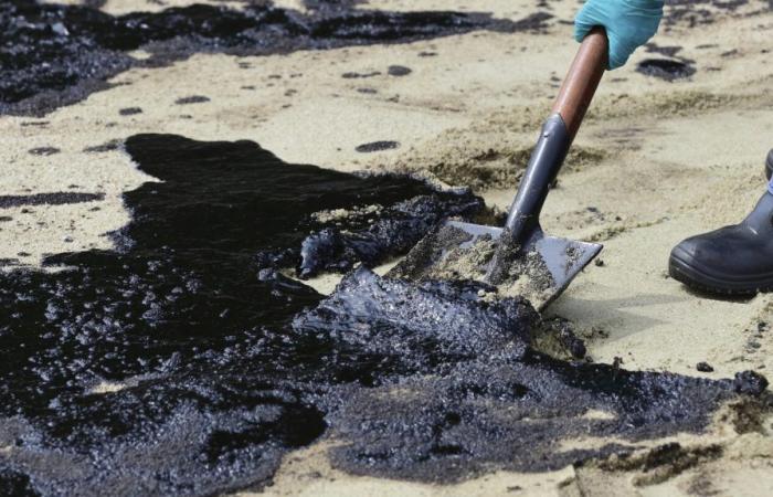 Singapur beseitigt die Ölpest, die durch den Aufprall eines Baggers auf einen Öltanker verursacht wurde
