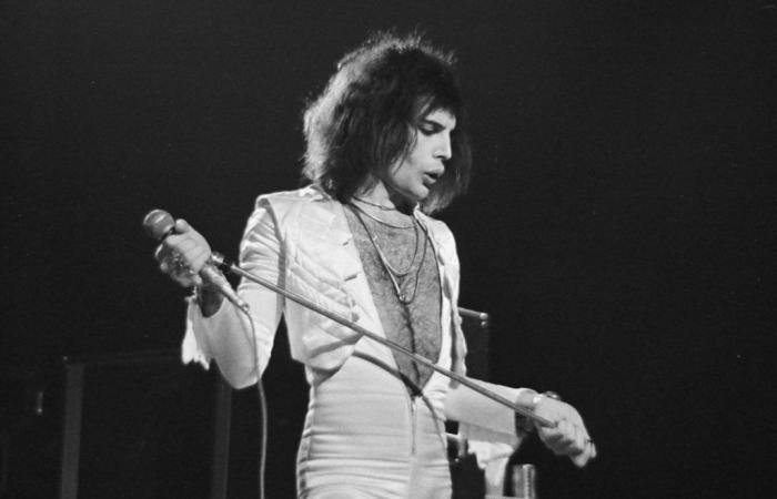 Woran Freddie Mercury gearbeitet hat, bevor er mit Queen glänzte