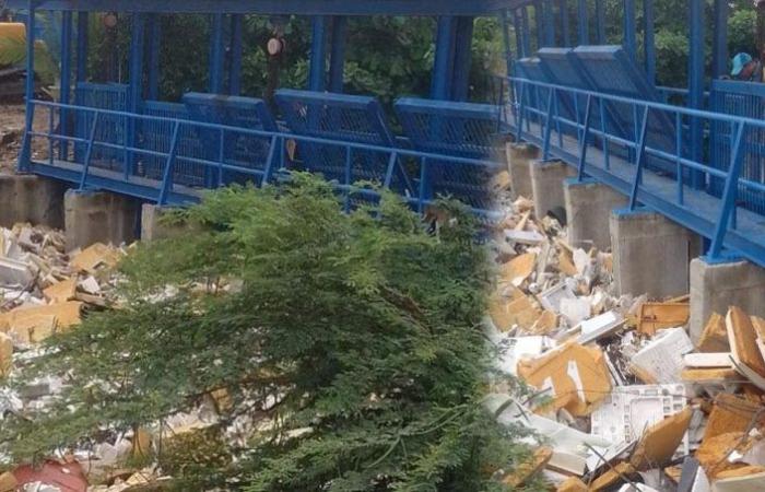 Die Gemeinde bittet um dringende Aufmerksamkeit für die Falle des Arroyo León aufgrund der Müllstauung