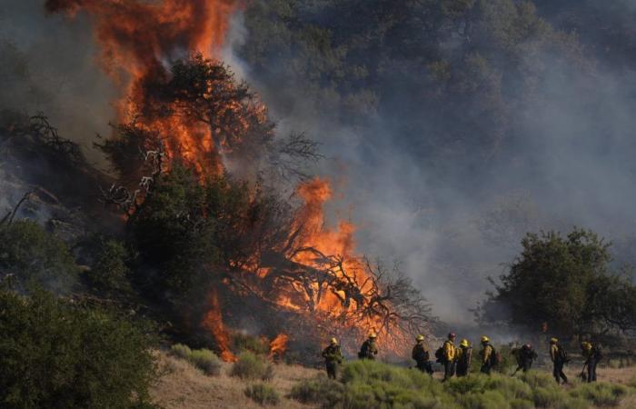 Nördlich von Los Angeles breitet sich ein Waldbrand aus, da Evakuierungsbefehle erlassen werden