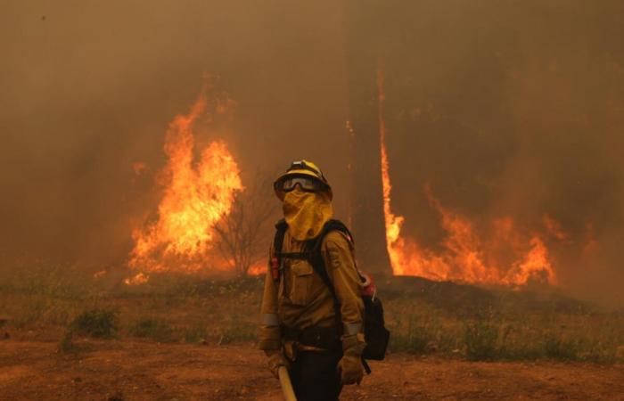 4.400 evakuiert: Flammen breiten sich über 220 Hektar im Lake Sonoma aus