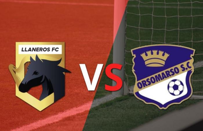 Zweite Division: Llaneros FC vs. Orsomarso Finale