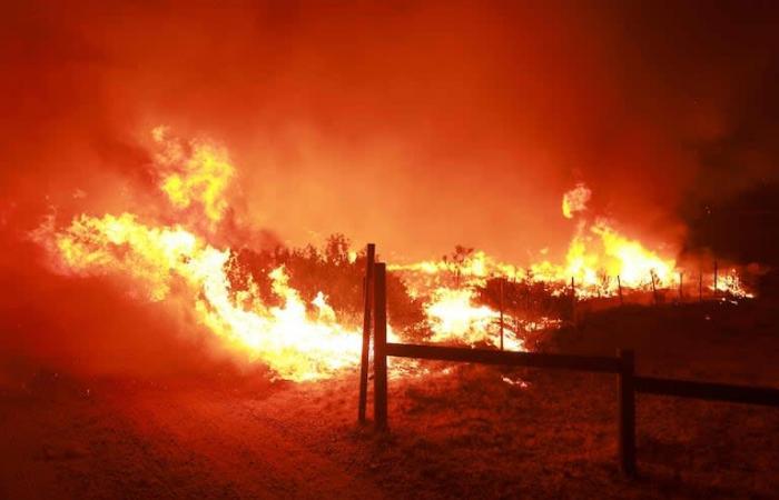 Ein Lauffeuer verwüstet Tausende Hektar nördlich von Los Angeles und führt zur Evakuierung von 1.200 Menschen