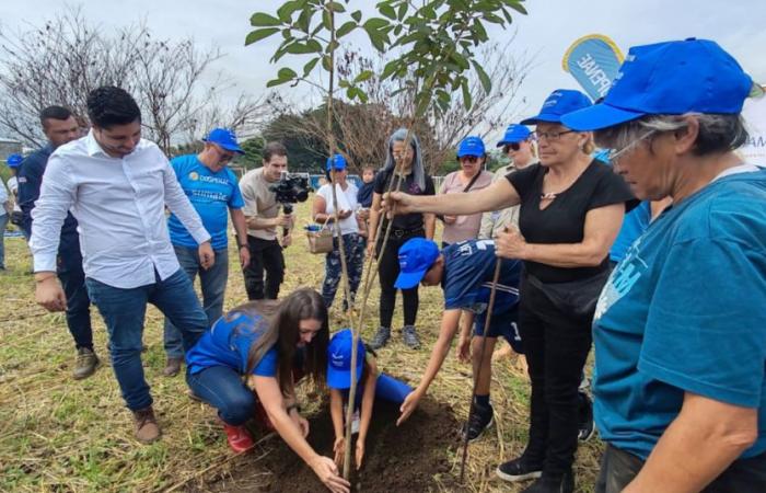 Das Pflanzen von 2.000 Bäumen wird San José eine neue Lunge verleihen