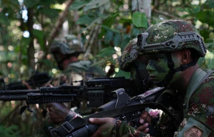 Angst in Caldono, Cauca, aufgrund von Kämpfen zwischen der Armee und FARC-Dissidenten