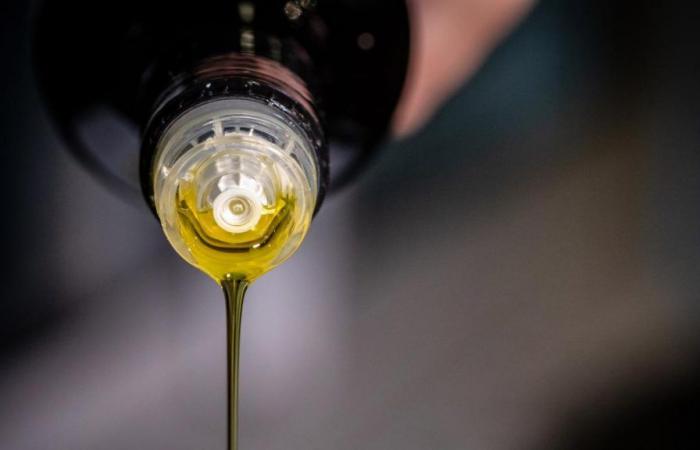 Ein Olivenöl-Experte erklärt, ob es wirklich gut für Ihre Gesundheit ist