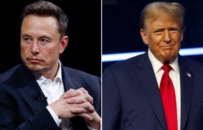 Elon Musk enthüllte Einzelheiten seiner Beziehung zu Donald Trump
