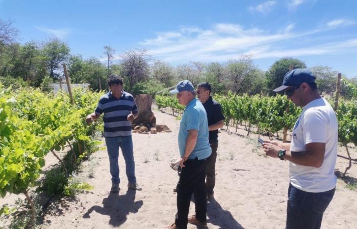 UCN-Studenten beraten Premium-Weinproduzenten in der Stadt Toconao