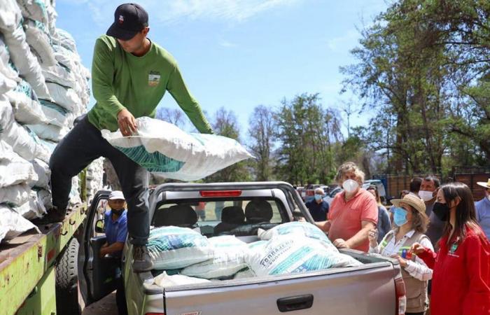In Chile begann die Hilfslieferung an die von den Regenfällen betroffenen Produzenten