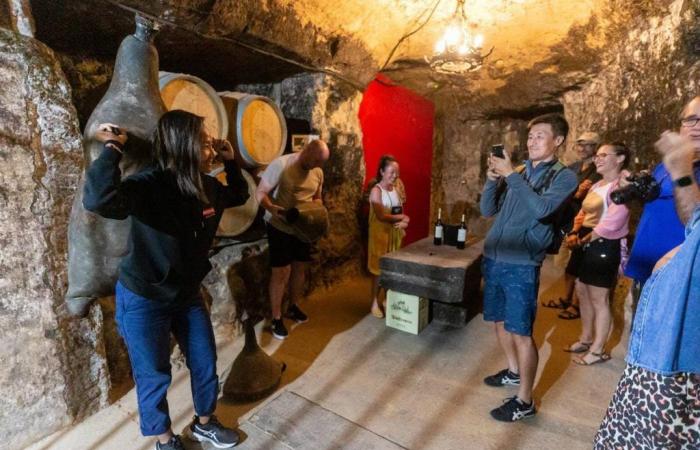 Der Weintourismus erwirtschaftet 62 Millionen in den Weingütern und weitere 124 Millionen in der Region