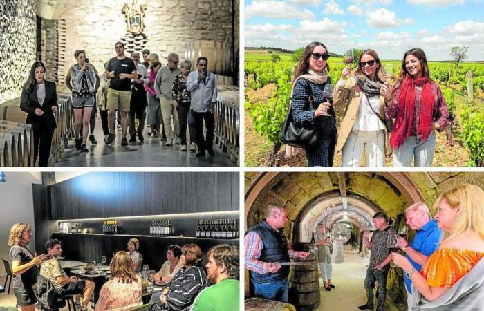 Vier Erfolgsgeschichten im Weintourismus in La Rioja