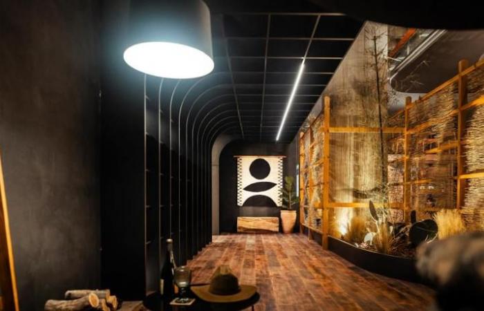 Etéreo Studio im Casa FOA 2024: „Es förderte die Projektion von lokalem Design in Tucumán“ – Tucumán