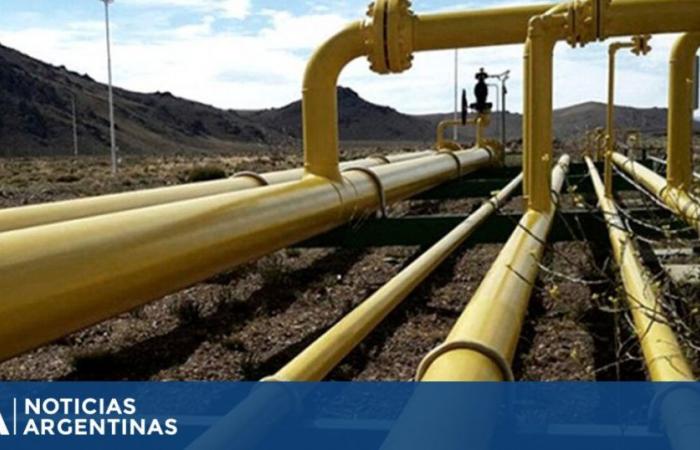 Enarsa einigte sich mit Bolivien darauf, die Gaslieferungen fortzusetzen, um den Bedarf im Norden des Landes zu decken